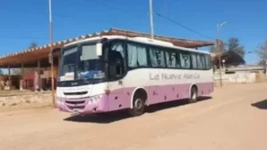 NUEVA ALIANZA