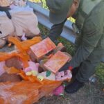 En un tour de compras secuestran marihuana y cocaína