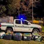 Controlan un transporte con encomiendas y descubren 359 kilos de hojas de coca