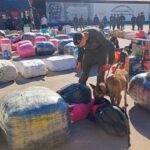 Secuestraron mercadería de contrabando valuada en $550 millones