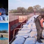 Incautan más de dos toneladas de hojas de coca y 2.160 paquetes de cigarrillos en dos procedimientos