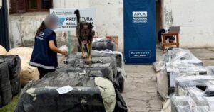 OPERATIVO MERCADERIA